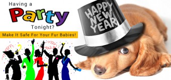 Having A Party Tonight? Tips To Make It Safe For Your Fur Babies!