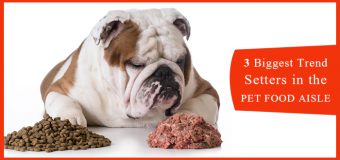 3 Biggest Trend Setters In The Pet Food Industry