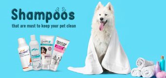 Vet Recommended Dog & Cat Shampoos