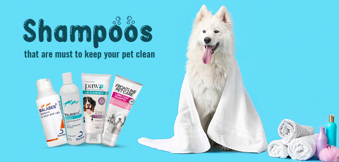Vet Recommended Dog & Cat Shampoos
