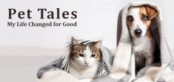 PET TALES: My Life Changed for Good