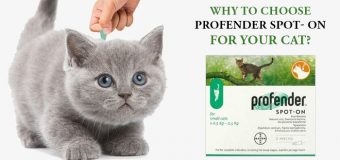 Why To Choose Profender Spot- On For Your Cat?