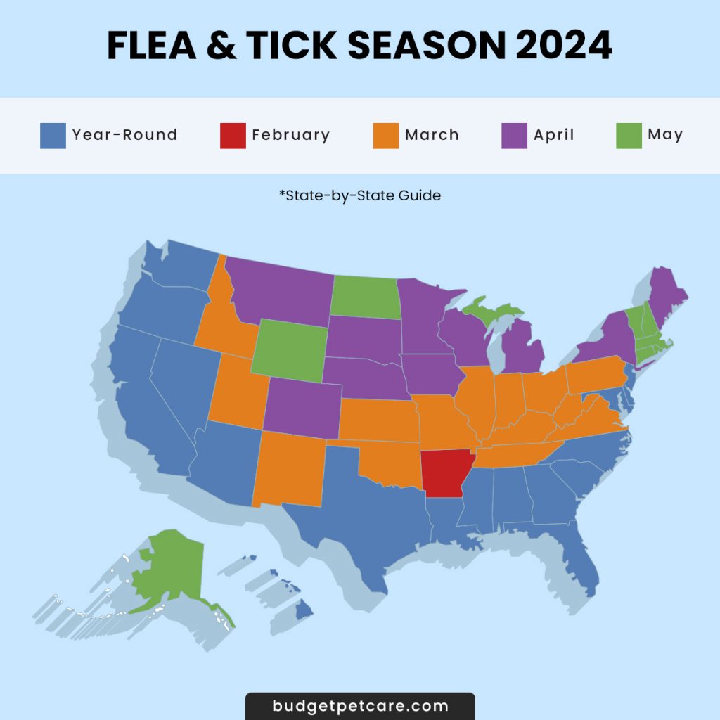 USA States Flea and Tick Season 2024 Map by BudgetPetCare