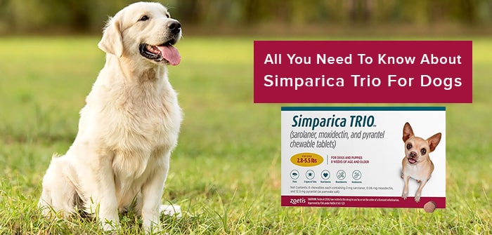 About Simparica Trio For Dogs