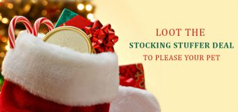 Loot The Stocking Stuffer Deal To Please Your Pet