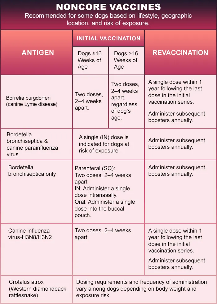 non-core dog vaccination schedule table