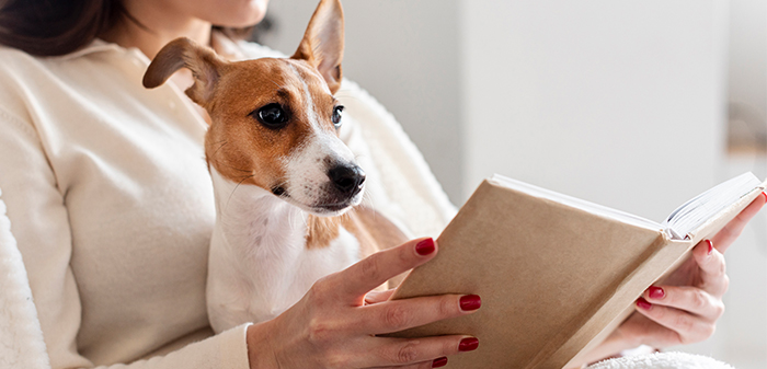 Thanksgiving History and Importance