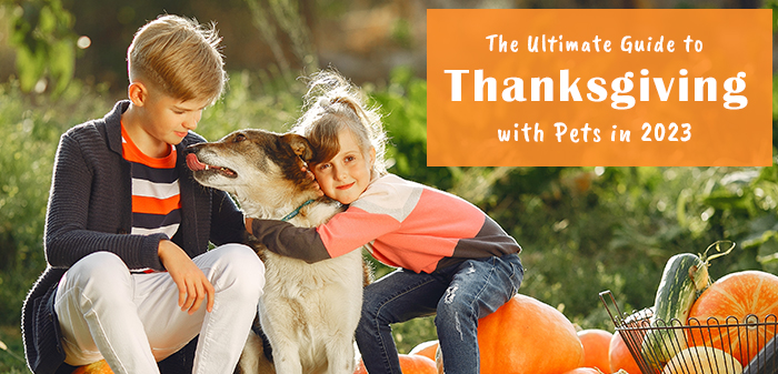 Celebrating Thanksgiving with pets