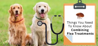 Things You Need To Know About Combining Flea Treatments