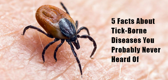 5 Facts About Tick-Borne