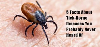 5 Facts About Tick-Borne Diseases You Probably Never Heard Of