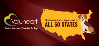 Valuheart: Generic Heartworm Prevention For Dogs  