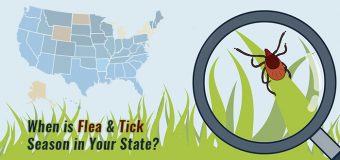 When Is Flea & Tick Season in Your State?