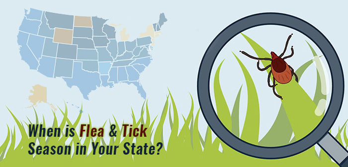 Forecasting Flea and Tick Season in different states in The US for 2024