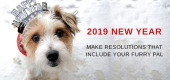 2019 NEW YEAR – Make Resolutions That Include Your Furry Pal