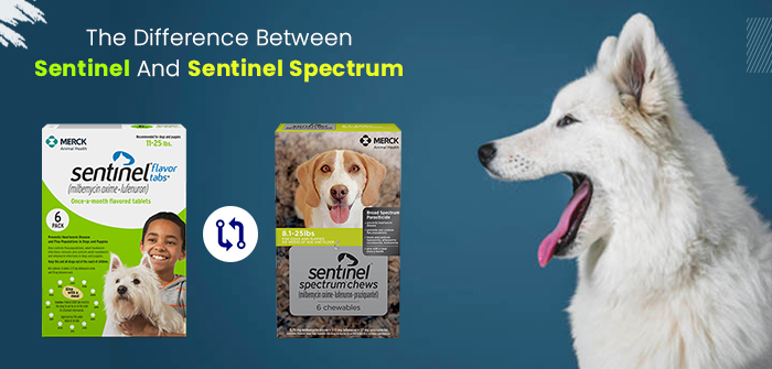 sentinel spectrum heartworm