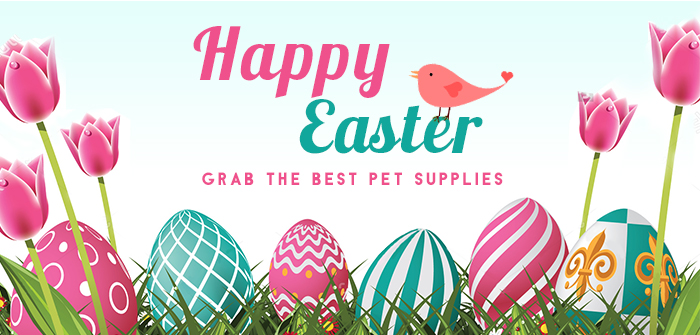 easter grab best offers on Pet Supplies