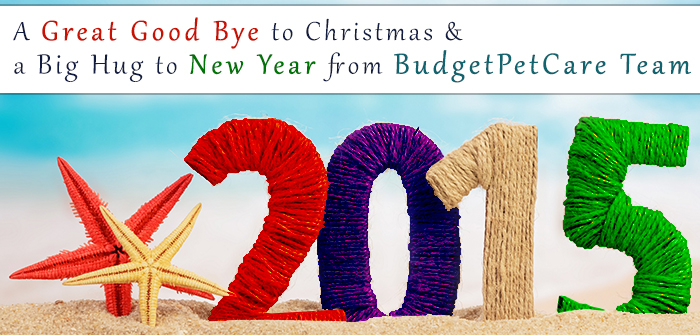 Happy-New-Year-from-Budgetpetcare