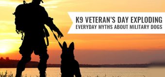 K9 Veterans Day – Exploding Everyday Myths about Military Dogs