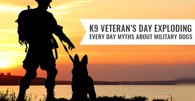 K9-Veteran’s-Day