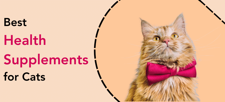 buy best health supplements for cats from budgetpetcare