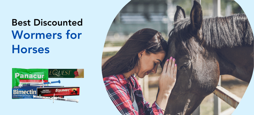 Best Wormers for Horses on Budgetpetcare