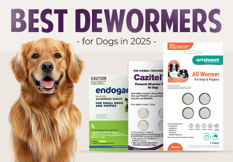 best dewormer treatment for dogs