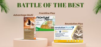 Advantage Multi vs. Frontline Plus vs. Revolution Plus: Ideal Parasite Protection for Cats