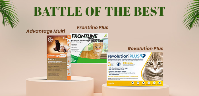 showcasing cat products - Advantage Multi vs. Frontline Plus vs. Revolution Plus