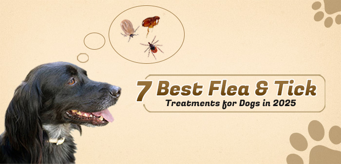 a dog thinking about flea and ticks and blog title for 7 best flea and tick treatments for dogs