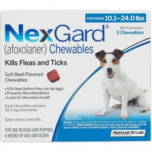 Nexgard chewables for dogs Blue pack