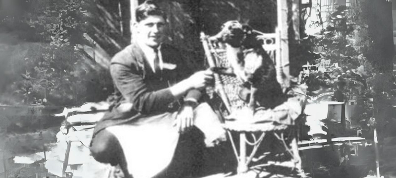 Bluey - The Oldest Australian Cattle Dog (Example)