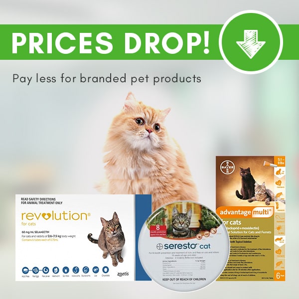Cat Care Products at Cheap Price