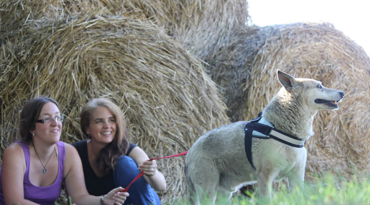 Buksi - The Oldest Mix Breed Mutt