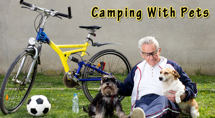 Camping With Pets