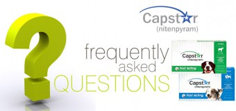 FAQ on Novartis CapStar Dogs & Puppies Flea Tablets