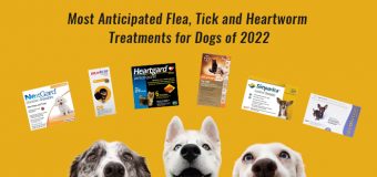 Cheapest Flea, Tick and Heartworm Prevention for Dogs