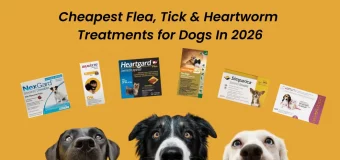 Cheapest Flea, Tick and Heartworm Prevention for Dogs