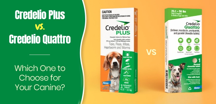 Credelio Plus vs. Credelio Quattro