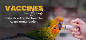 Do Birds Need Vaccines? Understanding the Need for Avian Immunization