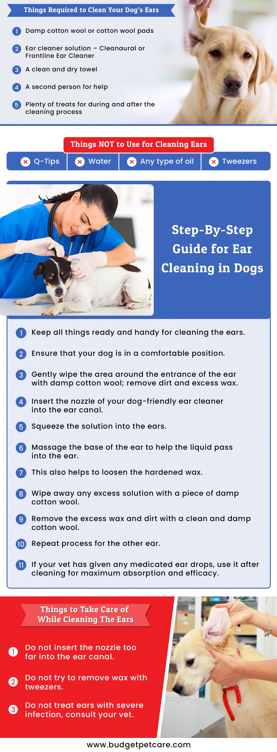 VetApproved Guide for Cleaning Your Dog’s Ears