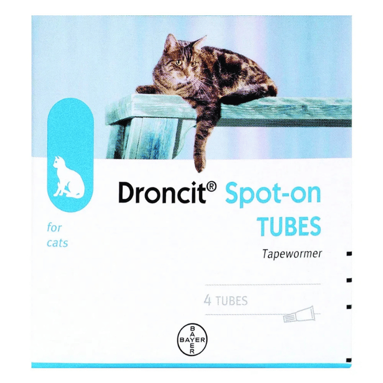 Droncit Spot on for Cats