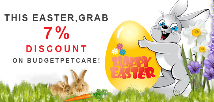 Easter 2015 special Discount 