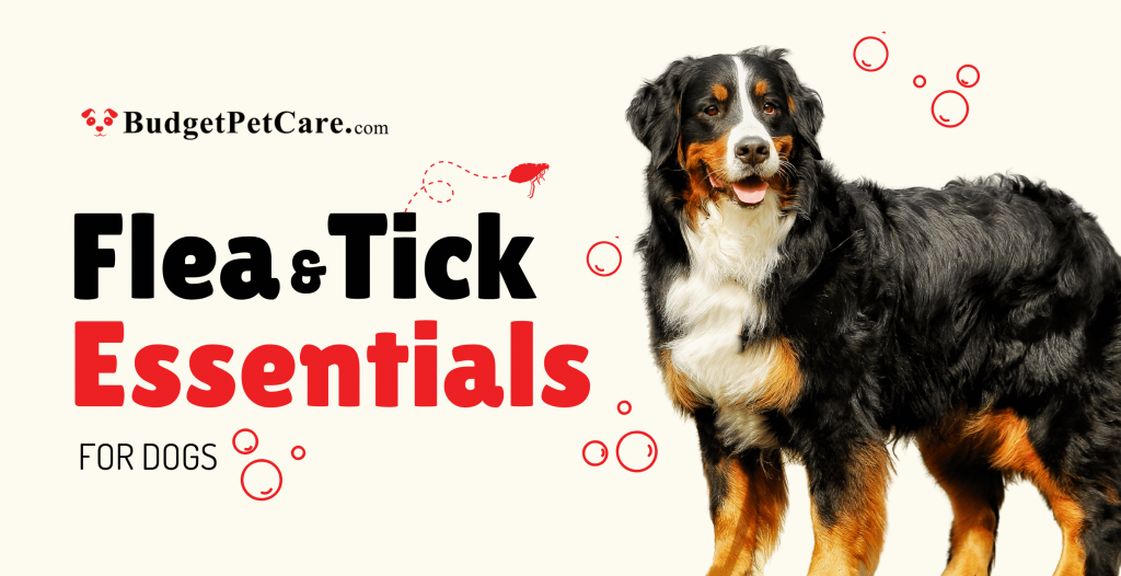 flea and tick essentials for dogs on Budgetpetcare