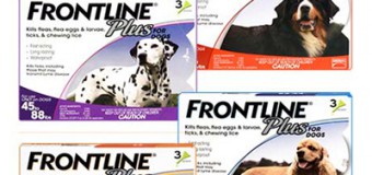 Why Frontline Plus not Working Anymore?