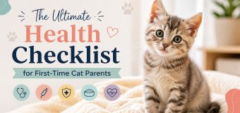 The Ultimate Health Checklist for First-Time Cat Parents