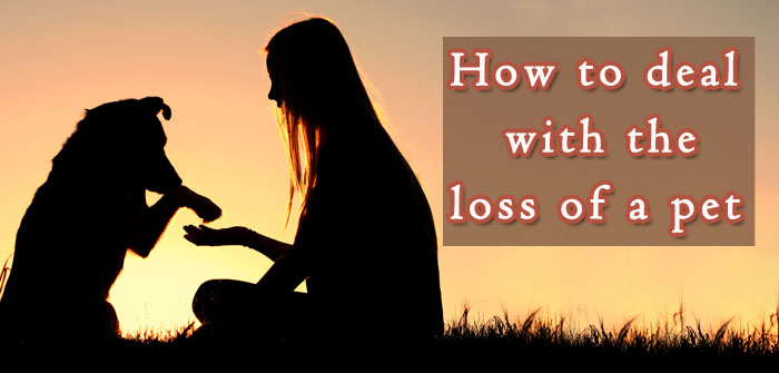 How to deal with the loss of a pet