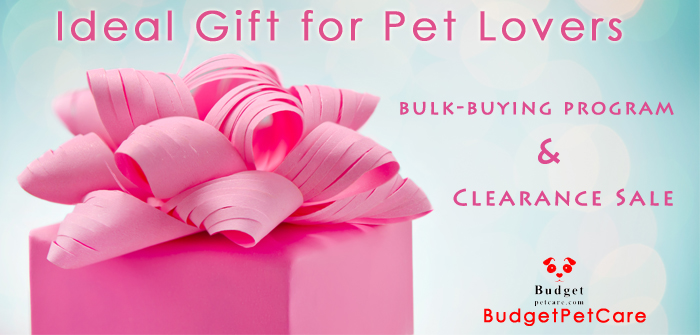 Ideal Gift for Pet Lovers from Budgetpetcare