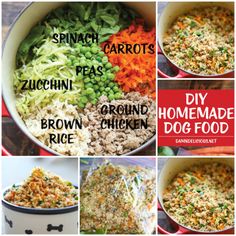 Limited-Ingredient Diets for Pets