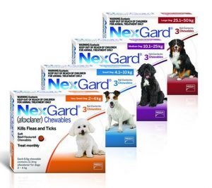 Nexgard All Packs